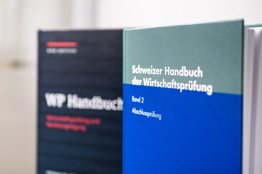 Wirtschaftsprüfung BDS Consulting